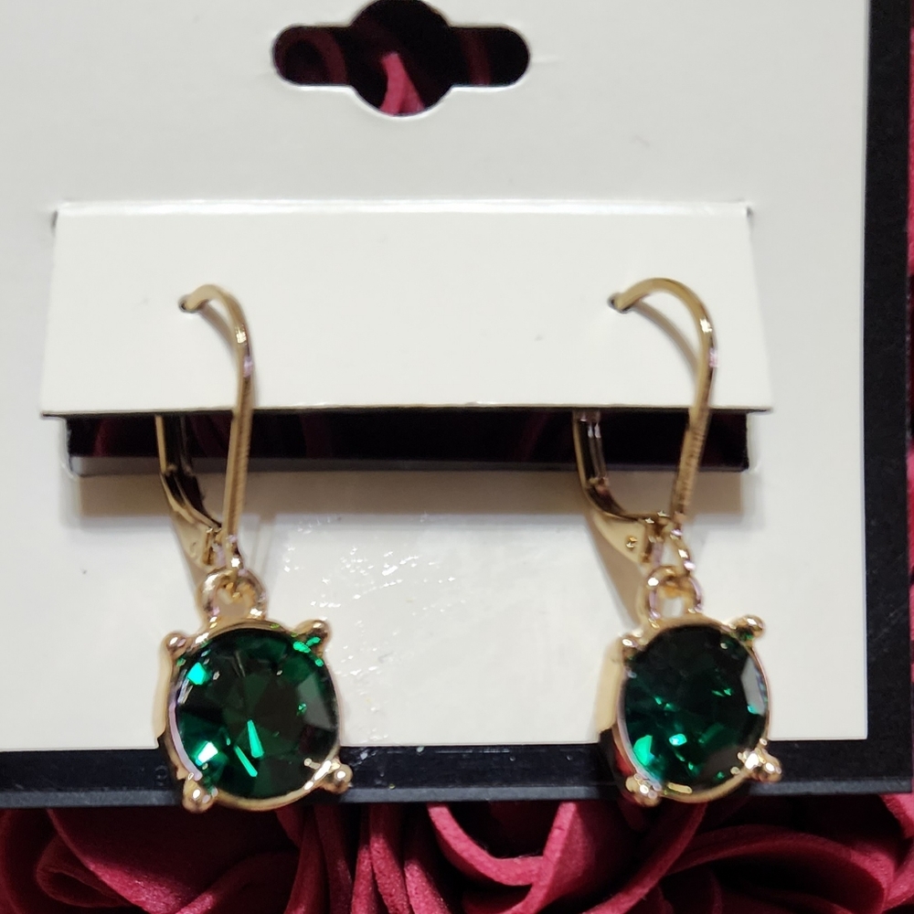 Beautiful Women Earring NWT.